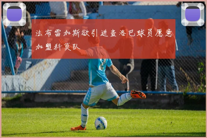 法布雷加斯欲引进查洛巴球员愿意加盟科莫队